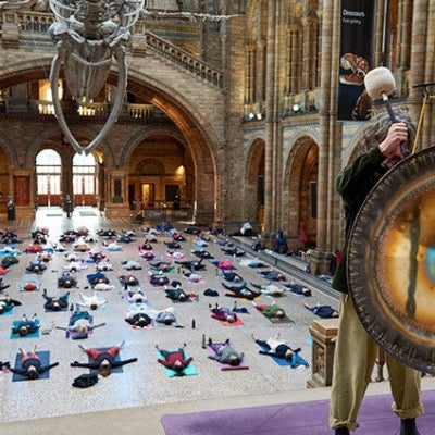 Yoga at the Natural History Museum