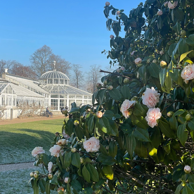 Chiswick House & Gardens