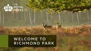 Richmond Park