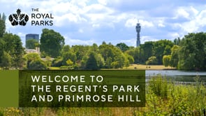 Regent's Park