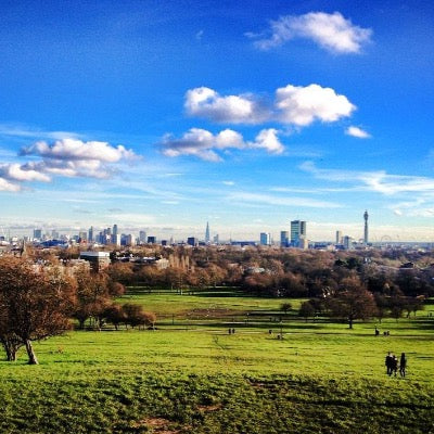 Primrose Hill